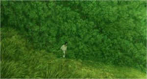 Die rote Schildkroete_Bambuswald