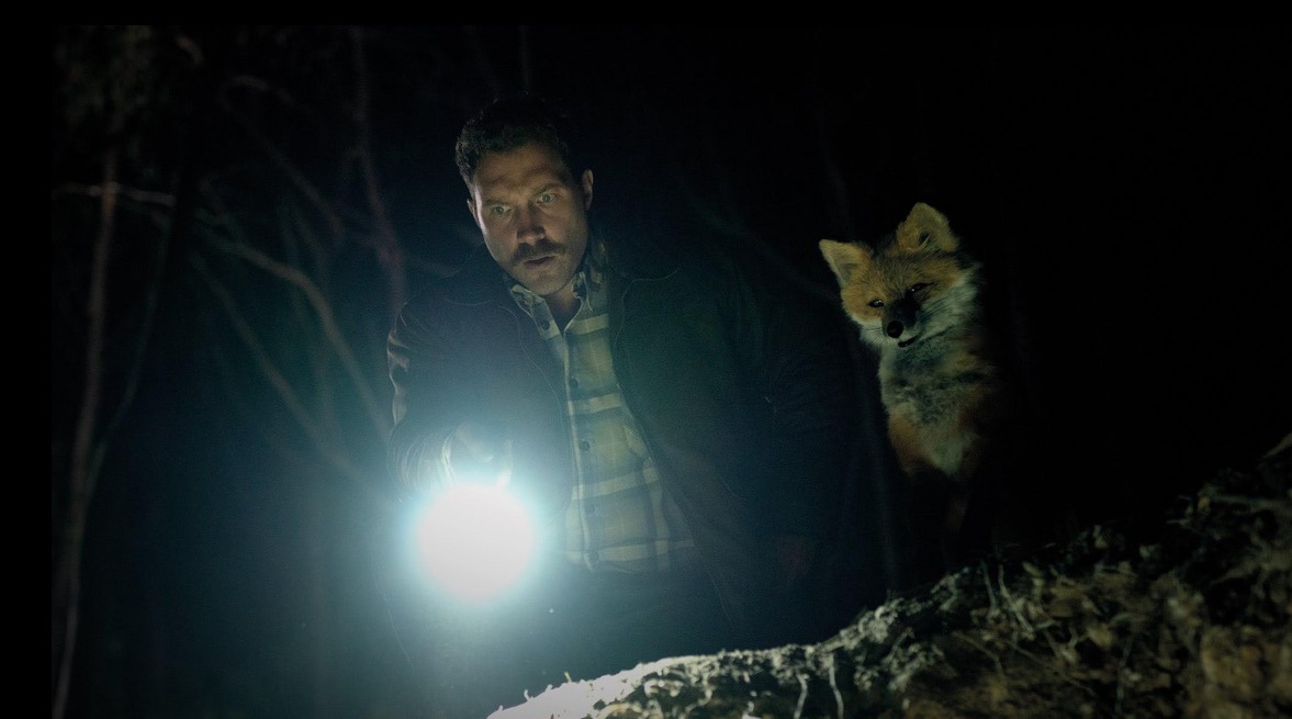 The Fox (2025)